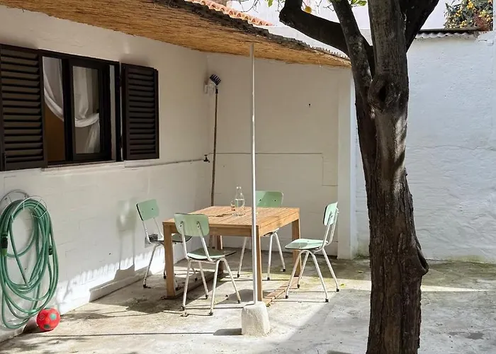 Lemon And Avocado House